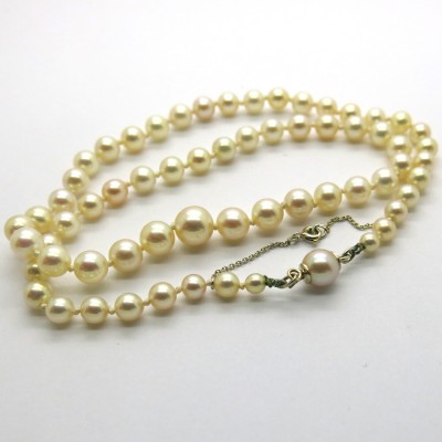 Collier de perles Akoya 342