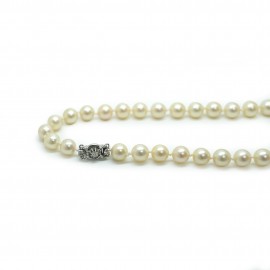 Collier Choker, perles d'Akoya 8.2 mm