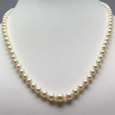 Collier de perles de culture Akoya bel orient 282