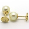Perles blanches du Japon pour oreilles percées 220 Jussieu